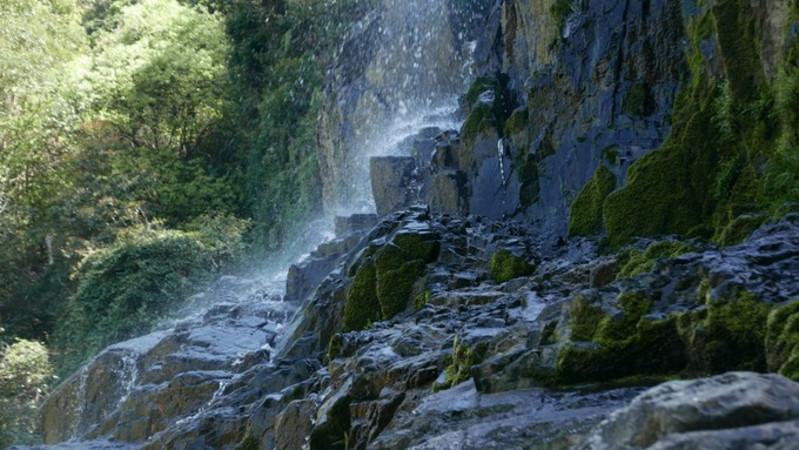应对雨雪速冻模式 河南首席科普专家“支招儿”