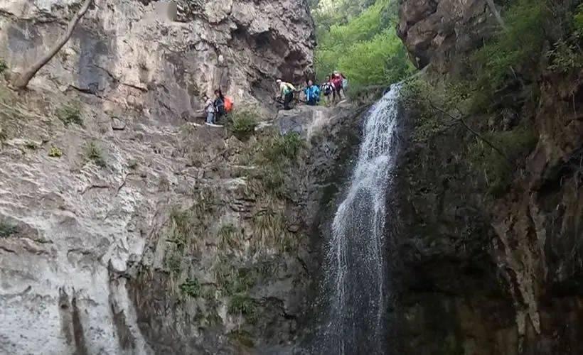 看冬捕、喝鱼汤、穿林海……澳门旅游团伊春尽享热“雪”沸腾