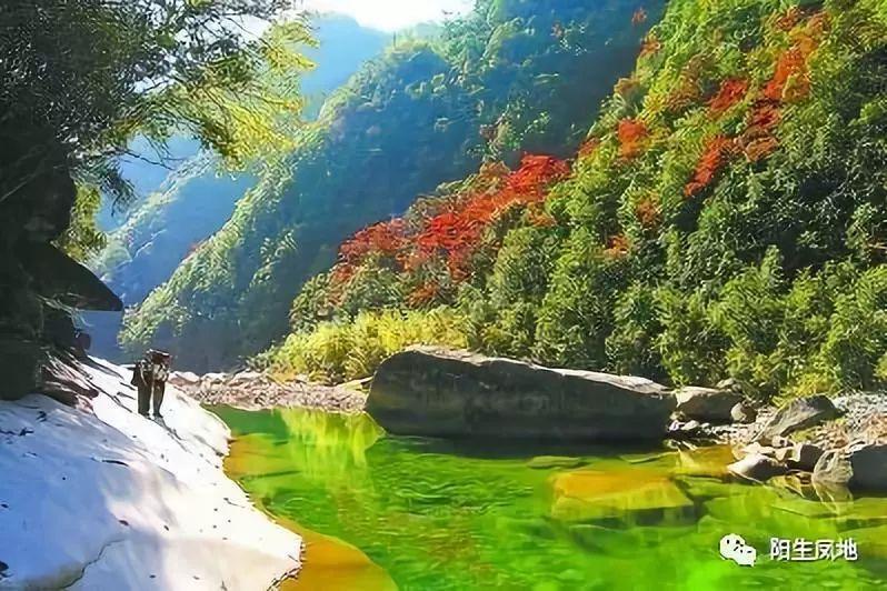 【新春走基层|新春亮点】装满年味的公交车